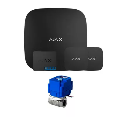 SMARTSYSTEMS Hub2 HC(КТ2) Light 3/4" Black