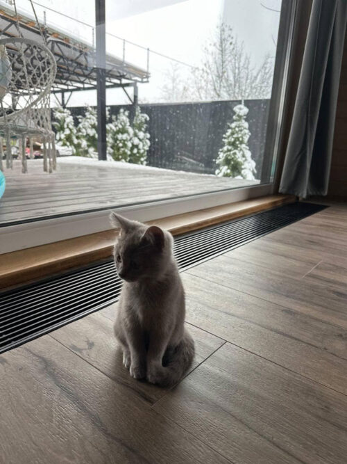 Решітка з рамкою S 230/1000 (рамка ZN + поперечна решітка)